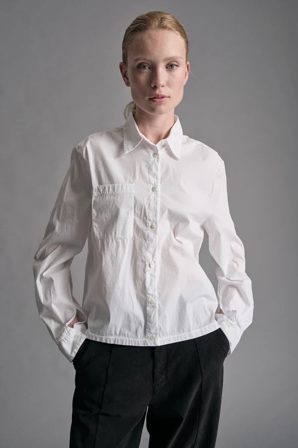 Transit Short shirt with a straight cut in stretch poplin