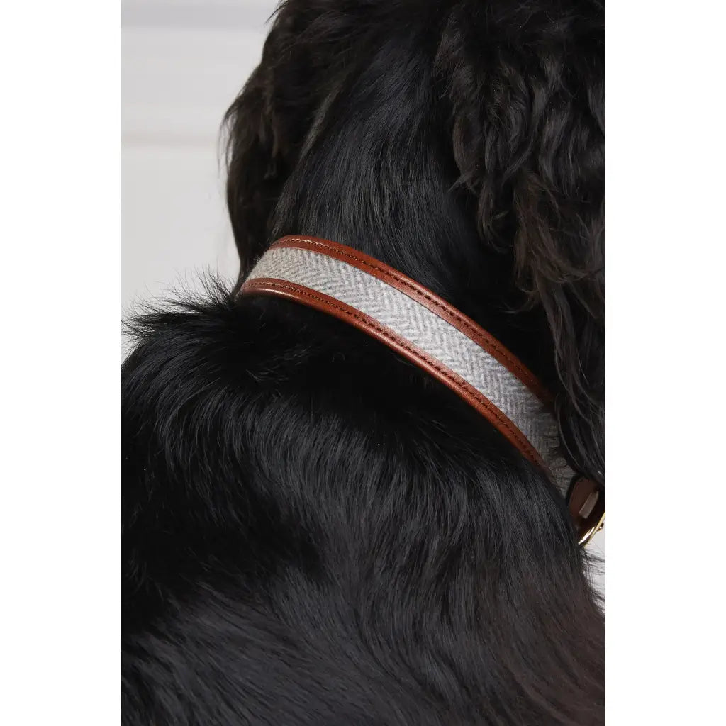 Classic Dog Collar - Chestnut & Tweed Dog Accessories